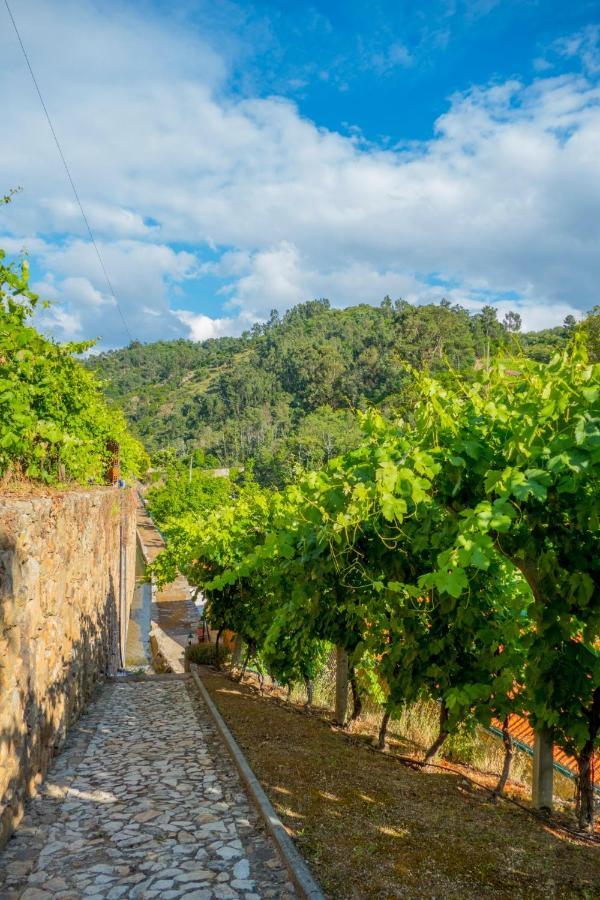 Quinta De Reciao Villa Lamego Eksteriør billede